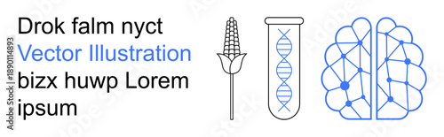 Biotechnology, artificial intelligence, genetic engineering, crop science, neural networks, research. DNA double helix, corn plant and brain with network structure. Biotechnology and genetic