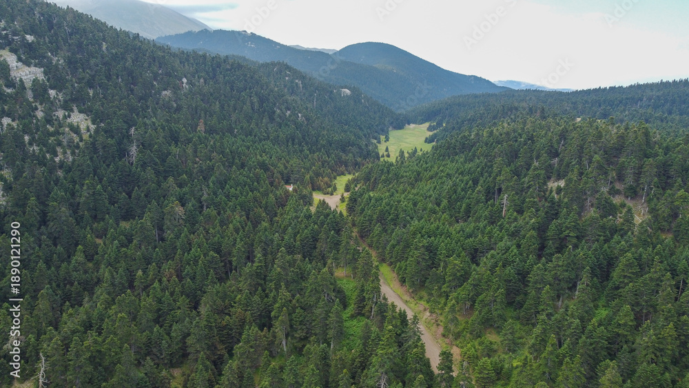 Fototapeta premium Drone View of Greek Forest near Parnassus – Panoramic Aerial Landscape and Natural Scenery