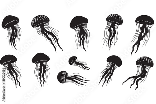 Jellyfish Silhouette Icon Set – Marine Life and Underwater Medusa Vector Illustrations