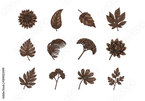 Wallpaper Mural Collection Of Brown Autumn Leaves And Flowers In Detailed Illustration Isolated Transparent Background Torontodigital.ca