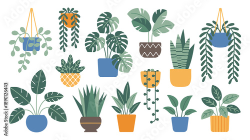 Collection of indoor plants including monstera and fiddle leaf fig in modern pots arranged in a grid style