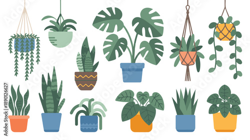 Modern indoor plants arrangement featuring monstera, fiddle leaf fig, snake, pothos, and various potted plants in a clean Scandinavian style setting displayed from a straightforward viewpoint