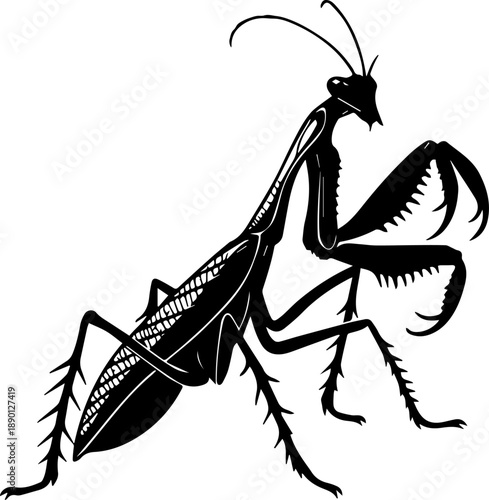 Praying Mantis Insect Silhouette Black and White Vector Illustration