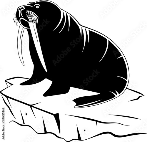 Walrus Arctic Wildlife Silhouette Black and White Vector