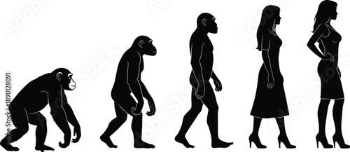 Human Evolution of Woman from Ape to Modern Lady Silhouette Set Isolated on White Background