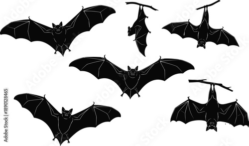 Black Bat Silhouette Set Collection for Halloween Design with Flying and Hanging Bats isolated on White Background