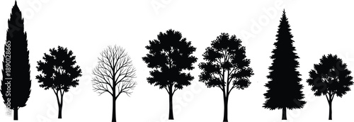 Black silhouette tree collection set for architectural section elevation cad drawing flat vector illustration isolated on white background for landscape design