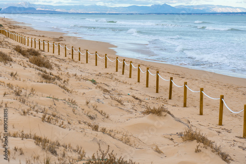 Protected dunes at El Moncayo Beach in Guardamar del Segura, Spain, fine sand. Wooden walkways and rope fencing guide visitors, prevent erosion, and protect fragile coastal ecosystems