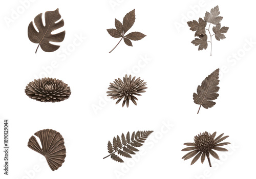 Wallpaper Mural Collection of nine Botanical Leaf Illustrations with intricate line details in bronze tones on a transparent background Isolated Transparent Background Torontodigital.ca