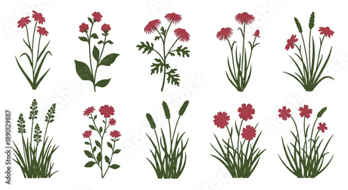 A collection of various flowers and plants in different arrangements and styles, presented in a grid view.