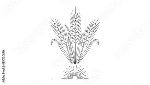 Stylized drawing of wheat stalks with a sun rising at the bottom and radiating lines on a plain white background for bakery concepts.
