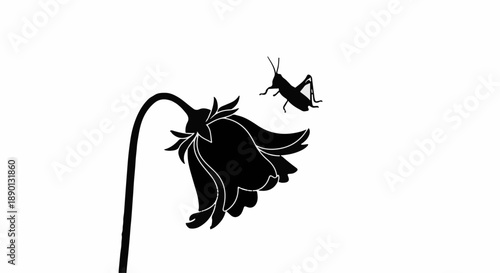 Graceful silhouette of a grasshopper perched on a delicate, wilting flower against a clean white background.