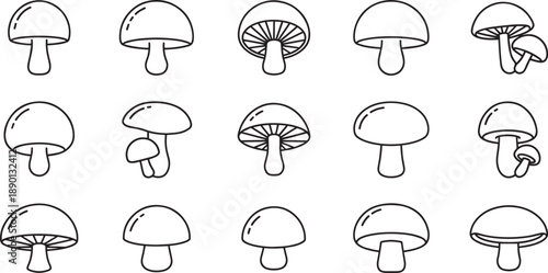 Cute Mushroom Line Art Icon Set for Nature Branding Botanical Designs Coloring Pages and Creative Crafts