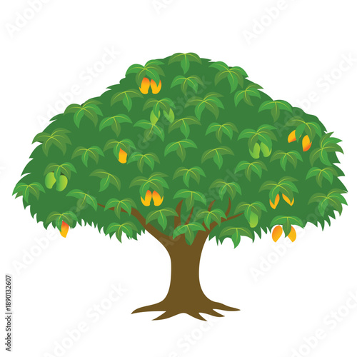 Green Mango Tree Vector Illustration with Ripe Fruits Isolated on White