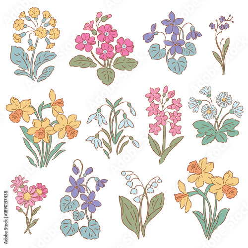 Set of vector spring flowers. Hand drawn liberty floral design on isolated background. Snowdrop, crocus, hyacinth, primrose, daffodils, bluebell and violet.