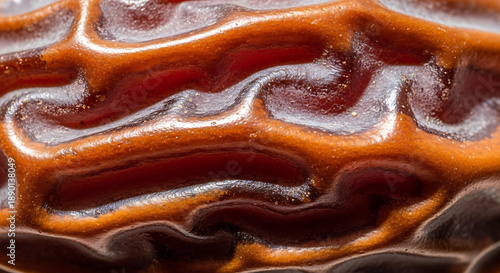 Extreme close-up of an organic, wavy, and textured surface with rich brown, orange, and red tones, highlighted by lighter ridges.