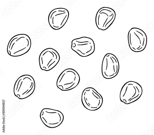 Black outline drawing featuring various scattered grain or bean shapes, perfect for use in natural food product marketing, botanical studies, or healthy eating promotion materials.