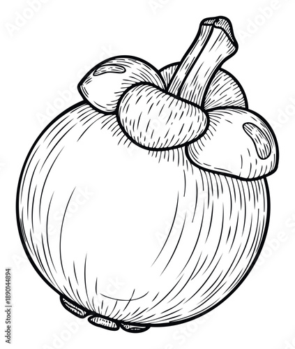 Whole tropical mangosteen fruit with its characteristic calyx and stem rendered in a detailed black and white line drawing style, suitable for healthy eating graphics, exotic food menus, or
