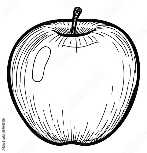 A fresh hand drawn apple drawing in a classic engraving style perfect for healthy eating articles recipes packaging and natural food branding applications