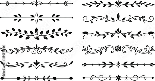 Collection of elegant black and white botanical dividers and decorative borders