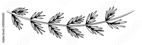 Simple black outline drawing of a curved botanical branch with multiple leaves, ideal for naturethemed graphic projects, decorative borders, or ecofriendly branding materials.