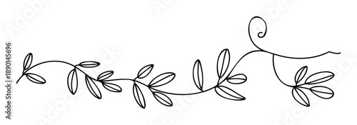 Simple hand drawn organic plant stem with flowing leaves suitable for creating charming borders, subtle ornaments, and fresh contemporary visuals.