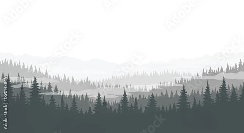 Misty forest landscape with trees and hills viewed from a distance in a serene environment