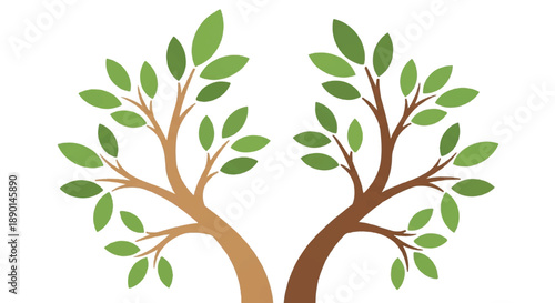 Two trees with intertwined trunks standing together in harmony with lush green leaves and vibrant foliage