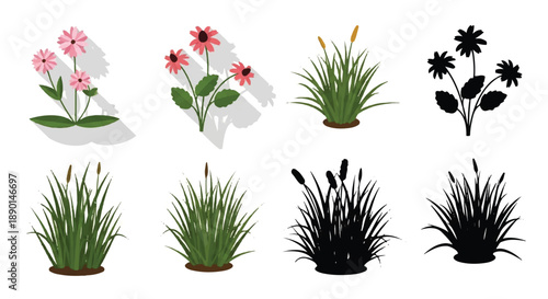 Collection of assorted plants and flowers in pots from various viewpoints
