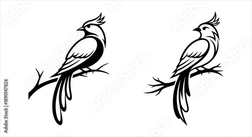 Elegant Silhouette of a Bird Perched on a Twig for Artistic Designs