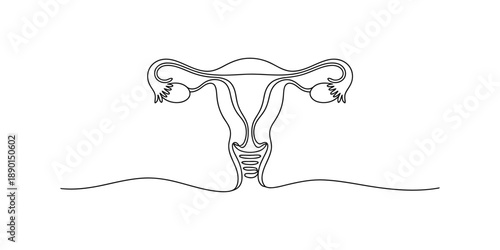 Single continuous line art drawing of the female reproductive system representing fertility and health