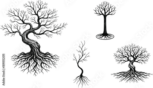 Bare tree silhouettes with twisted trunks and exposed roots black vector illustration set mystical nature design art collection elements