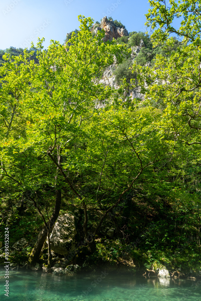 Fototapeta premium Rafting Adventure on the Voidomatis River – Scenic Waterways and Epic Nature in Greece
