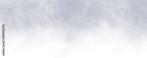 Dense fog spreads softly across transparent canvas. Subtle gradient and motion create natural depth. Perfect for horror, gothic, or moody artwork. PNG