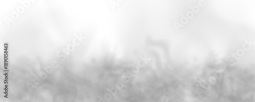 Minimal smoky overlay with flowing shapes and soft gradients. Transparent background allows easy graphic integration. Perfect for banners, typography, and digital art. PNG