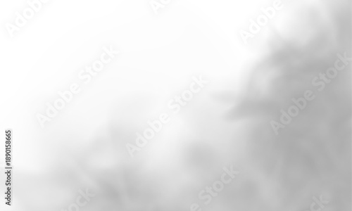 Dark smoky fog spreads horizontally with subtle blur. Edges dissolve naturally for realistic atmospheric effect. Perfect for gothic, horror, or fantasy projects. PNG