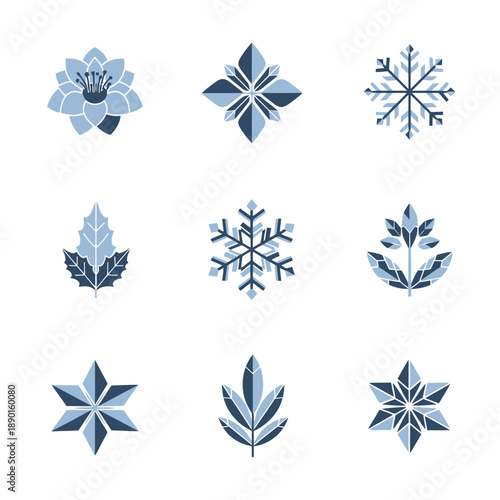 A minimalist duotone graphic icon set featuring nine icy winter symbols snowflakes, frosted leaves, geometric stars in a flat style using Icy Blue and Soft Gray