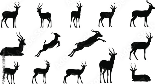 Deer silhouette vector set with standing, walking and jumping stag poses, wild forest animal shapes isolated on white background for wildlife and nature design