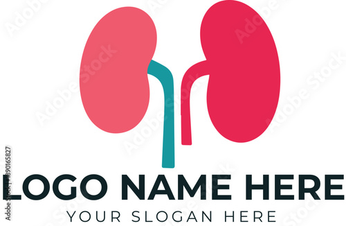 Red and pink kidney logo vector with teal ureter for nephrology, kidney care, or medical branding