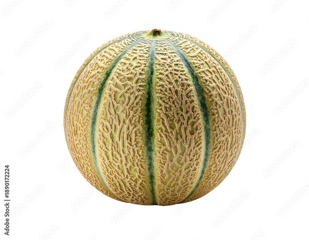 Fototapeta premium A ripe cantaloupe with a netted rind sits isolated on a black background