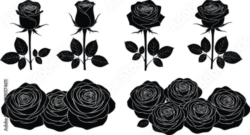 Rose flower silhouette vector set with blooming roses and floral arrangements isolated on white for romantic decoration tattoo logo and wedding designRose flower silhouette vector set with blooming 