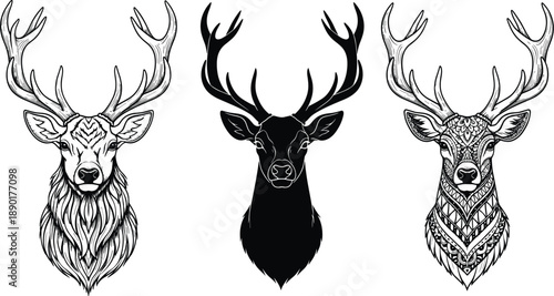 Deer head illustration, stag antlers, wildlife portrait, hand drawn, line art, black and white, vector, forest animal, vintage, engraving, designDeer head illustration, stag antlers