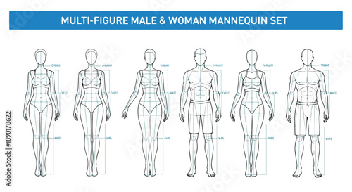 Vector Outline Set of Male and Female Mannequins with Body Measurements