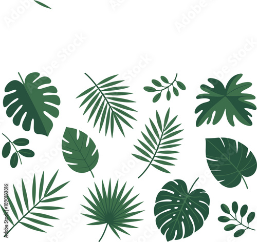 Palm Leaf Icon Set  Tropical Jungle Branch Vector