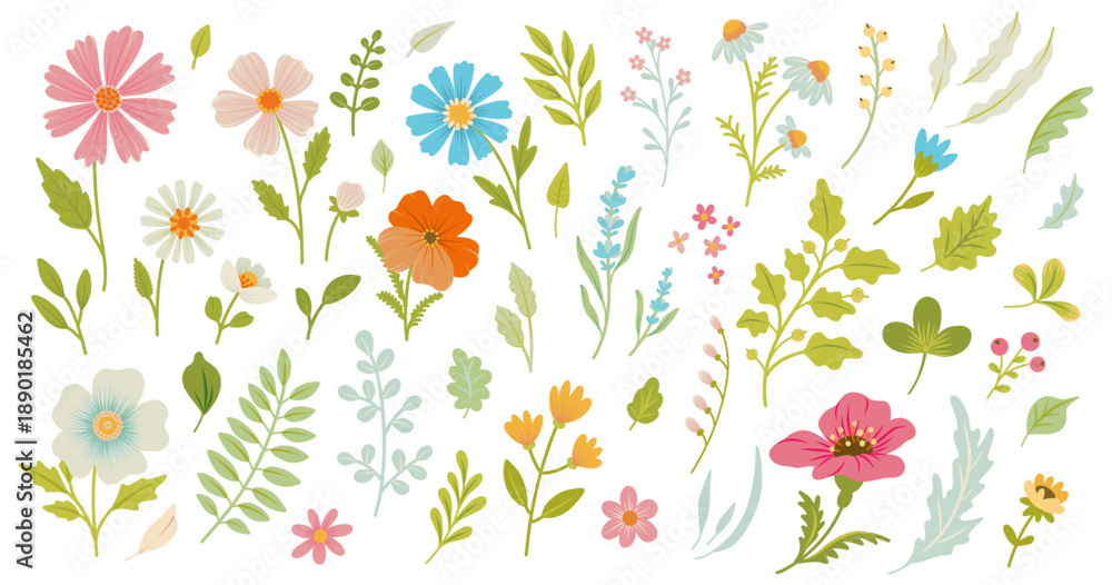 Fotografie Spring Summer abstract simple Flowers and Leaves set