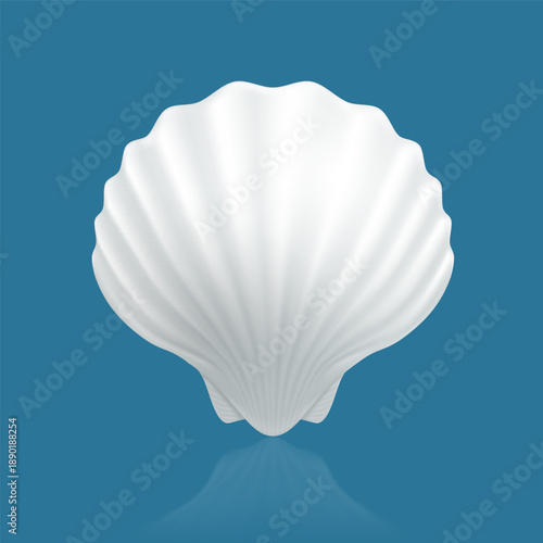 White oyster seashell isolated on blue background. Vector illustration