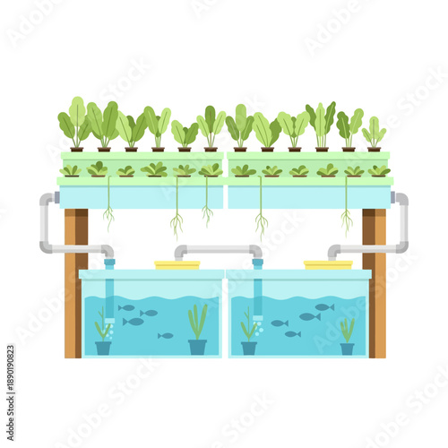 Aquaponics system with fish and plants in a modern, multi-level setup viewed from the side