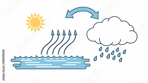 Illustration of the water cycle showing evaporation, cloud formation, and rain under the sun