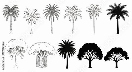 Collection of palm and deciduous trees in minimalist silhouette style
