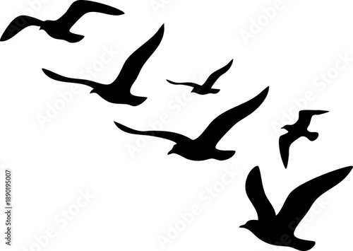 Silhouettes of Flying Birds Vector